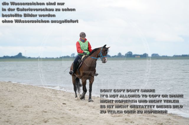 s_K3F04962.JPG
